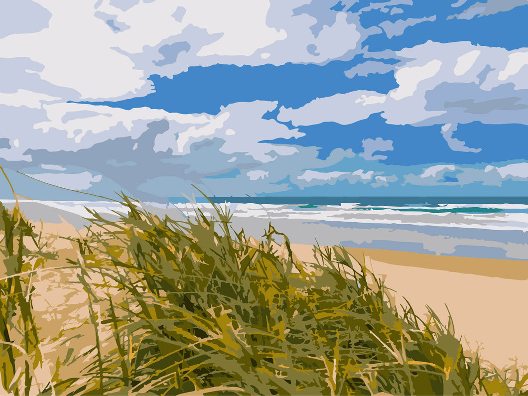 Paint By Numbers - Peregian Beach Dune